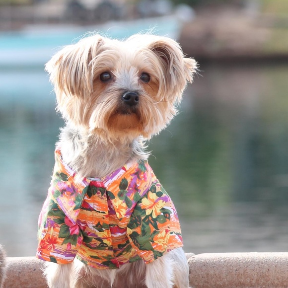 Doggie Design Other - Hawaiian Camp Dog Shirt - Sunset Hibiscus